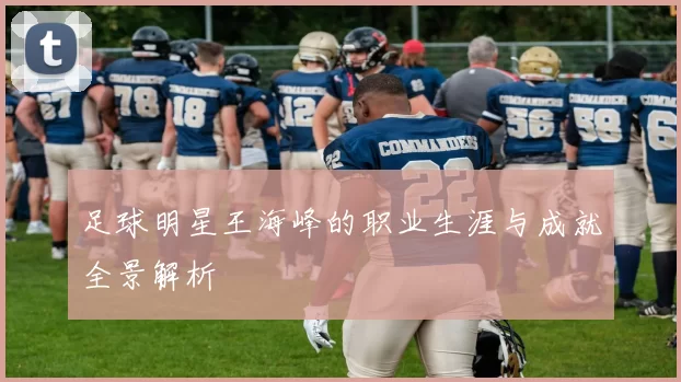 足球明星王海峰的职业生涯与成就全景解析