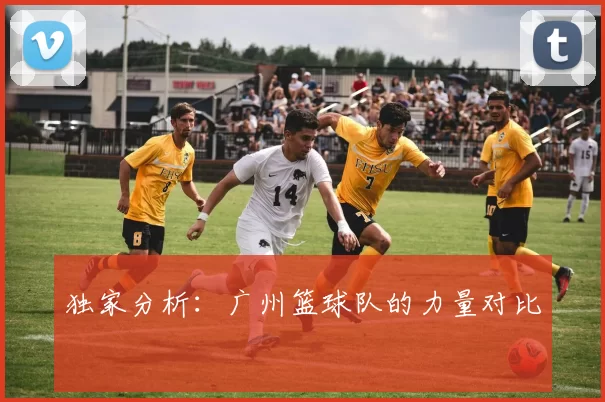 独家分析：广州篮球队的力量对比