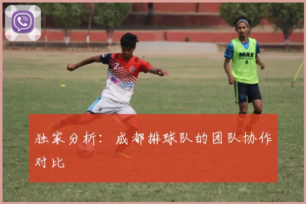 独家分析：成都排球队的团队协作对比