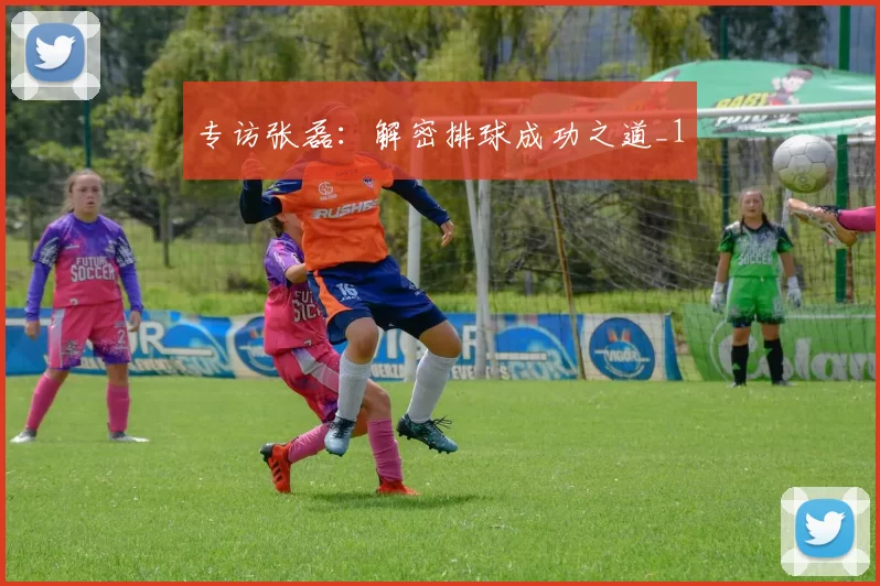 专访张磊：解密排球成功之道_1