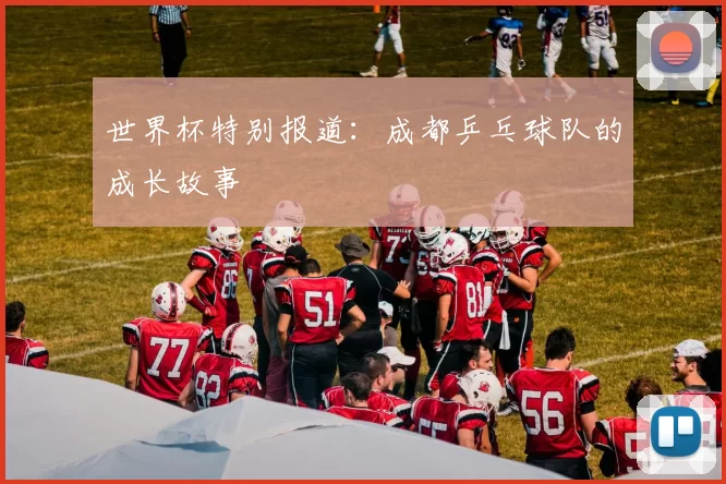 世界杯特别报道：成都乒乓球队的成长故事