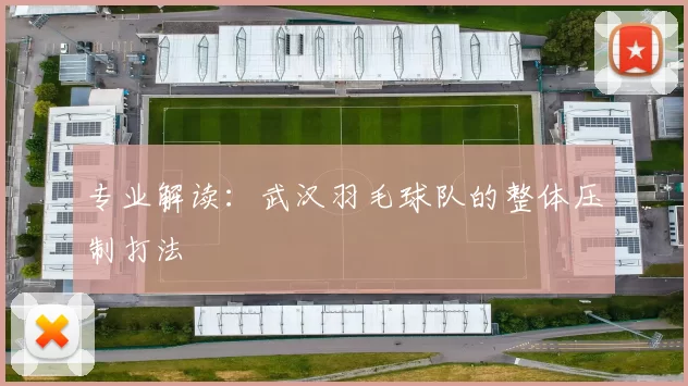 专业解读：武汉羽毛球队的整体压制打法
