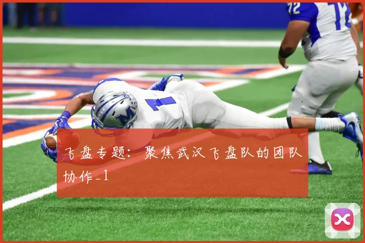 飞盘专题：聚焦武汉飞盘队的团队协作_1